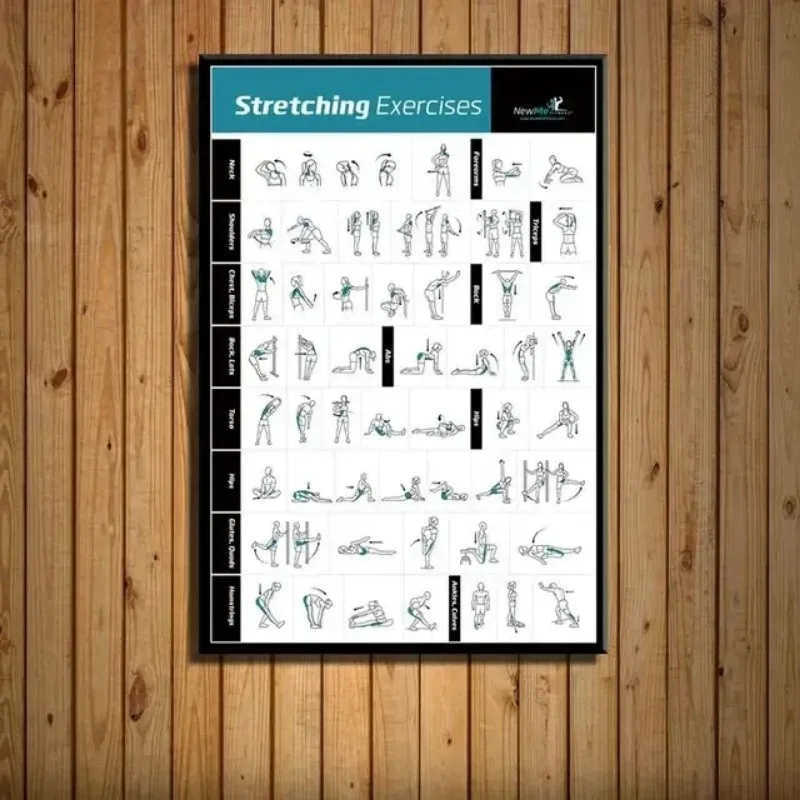 Badminton Poster - Körpertraining, Diagramm, Fitnessstudio, Fitness, Bodybuilding, Wandkunst,
