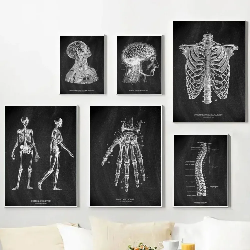 Badminton Poster - Anatomie Skelett Tafel Medizinisches Poster Leinwand