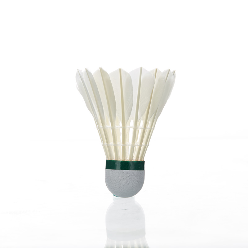 Kawasaki Feather Shuttlecock 8 – Badminton Raket Bewertung und Preis