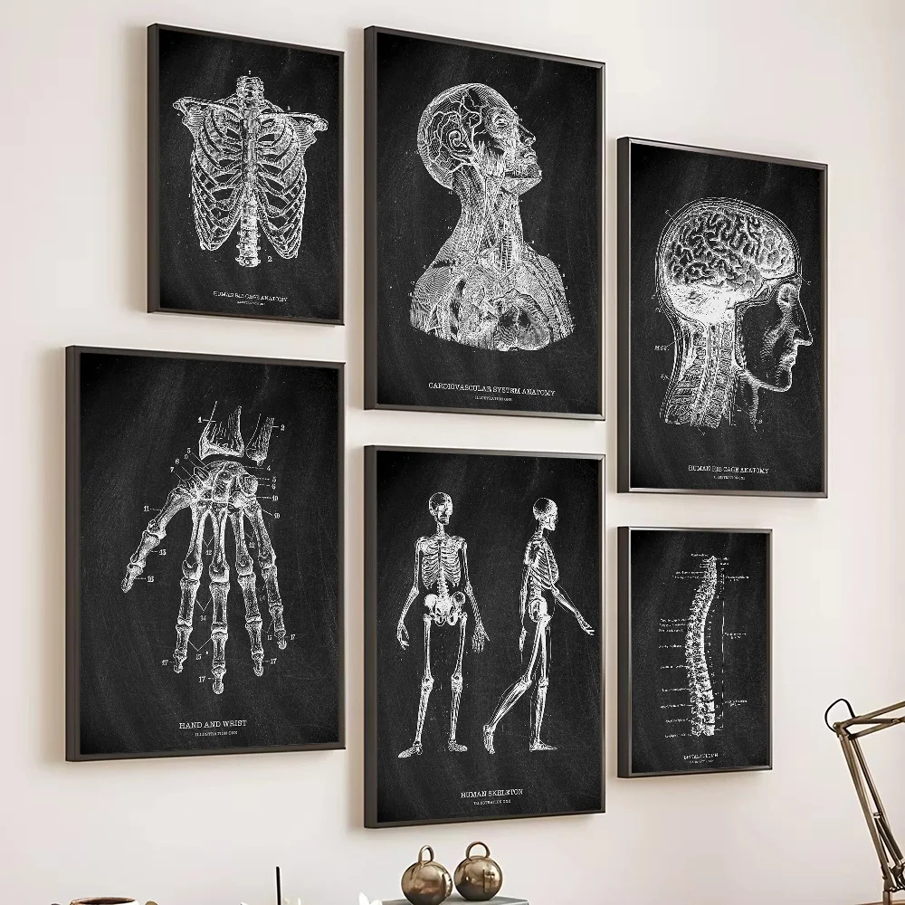Anatomie Skelett Tafel Medizin – Badminton Poster Bewertung und Preis