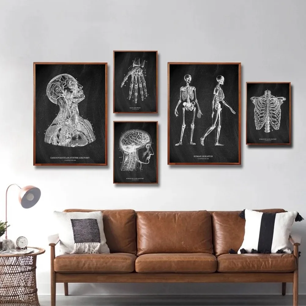Anatomie Skelett Tafel Medizin – Badminton Poster Bewertung und Preis