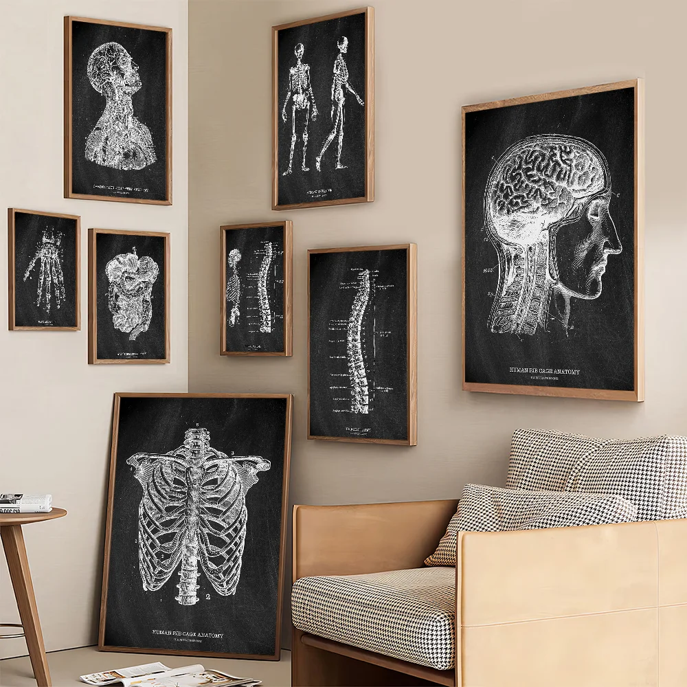 Anatomie Skelett Tafel Medizin – Badminton Poster Bewertung und Preis